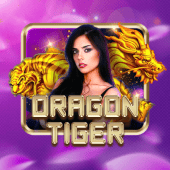 elephant bet live Dragon Tiger